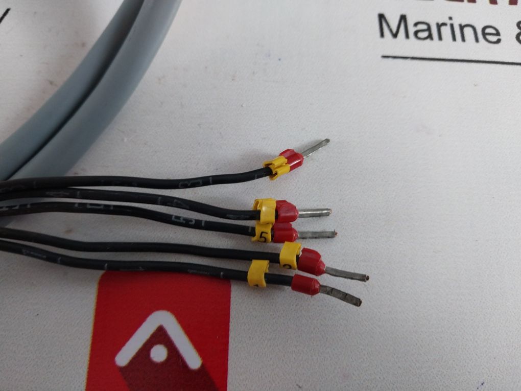 Aanschütz Kiel 133-302 Magnetic Compass