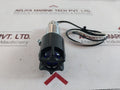 Appleton 6S6 Spl Series Pilot Lights