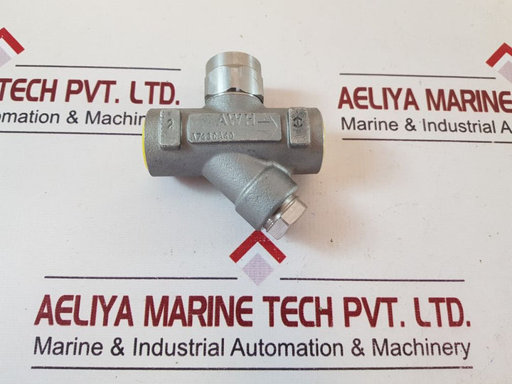 Ari A743Ca40 Thermo Dynamics Steam Trap
