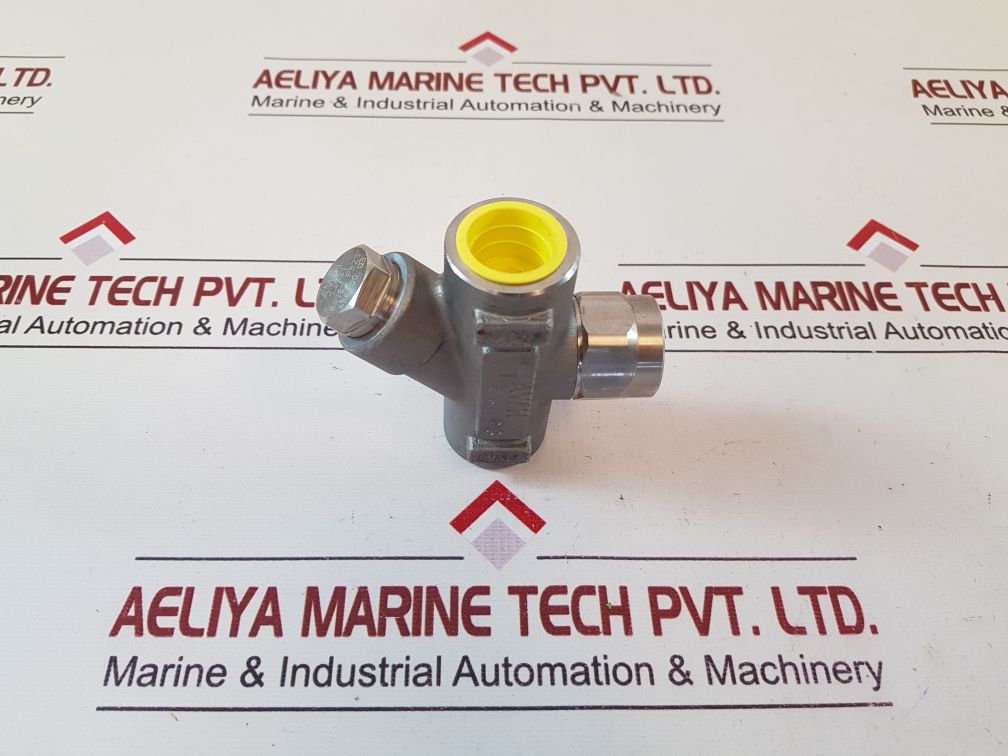 Ari A743Ca40 Thermo Dynamics Steam Trap
