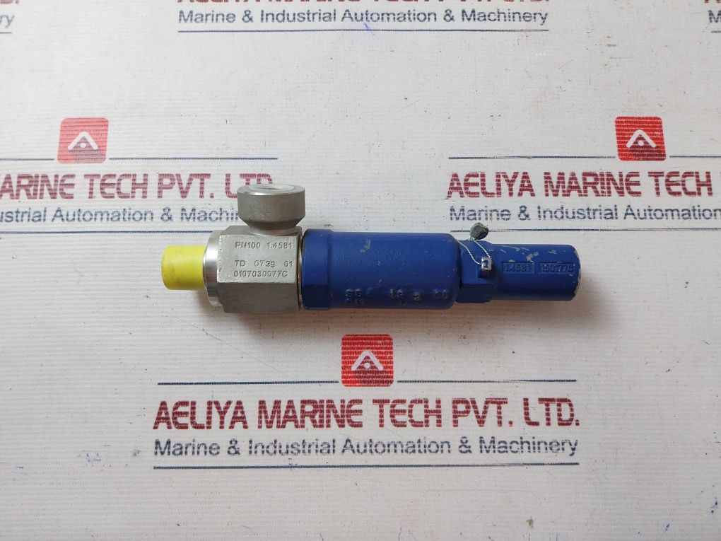 Ari Armaturen Pn100 Safety Relief Valve