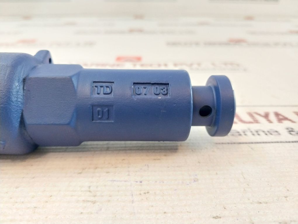 Ari Armaturen Pn100 Safety Relief Valves 6 Bar