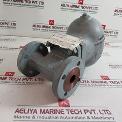 Ari Enjs1049 Ball Float Steam Trap Dn25