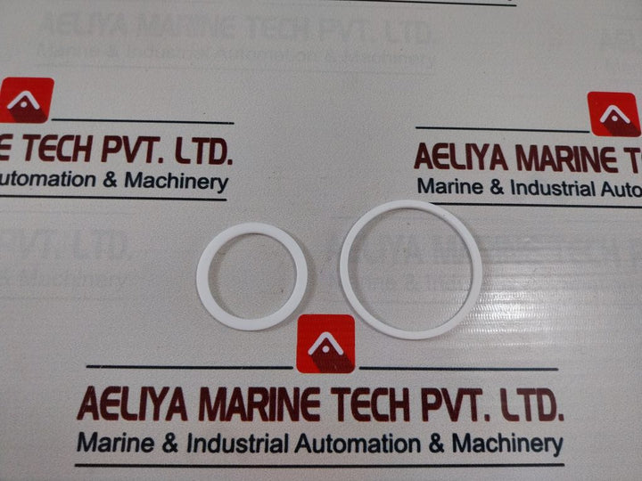 Asco C131209 Teflon & Gasket Kit For Drain Valve 2