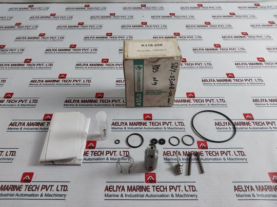 Asco K118-258 Solenoid Valve Set Sdy-0304B-04.0001
