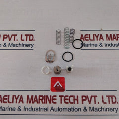 Asco Repair Kit