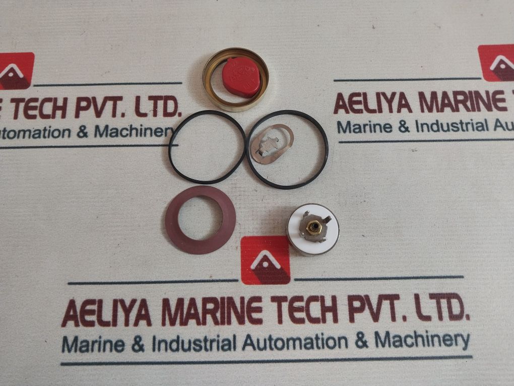 Asco X8220A231895 Solenoid Valve Repair Kit