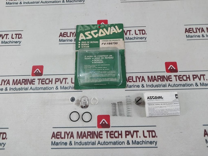 Ascoval Fv-186750
