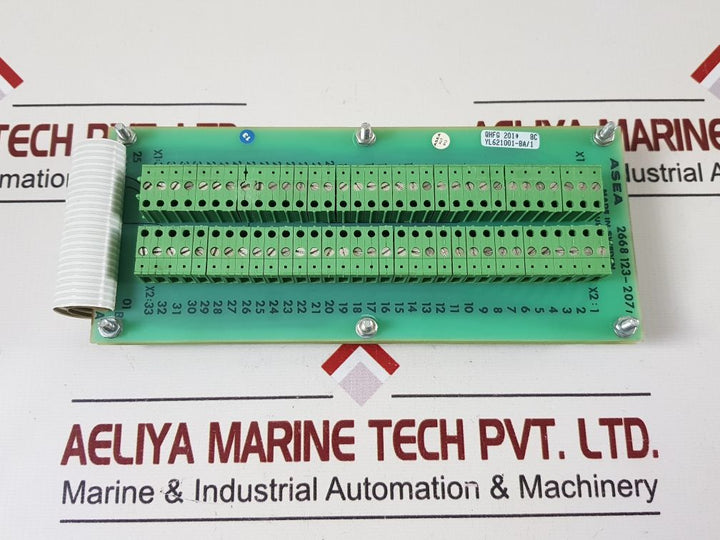 Asea 2668 123-207/1 pcb card