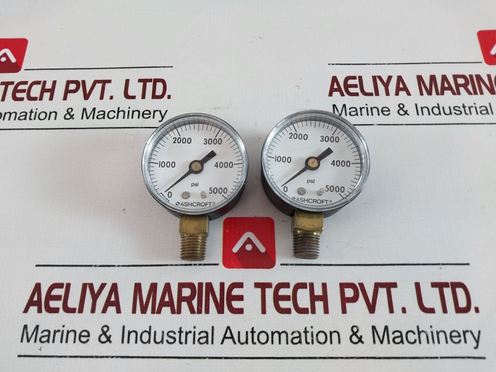 Ashcroft 20W1005Ph 02L