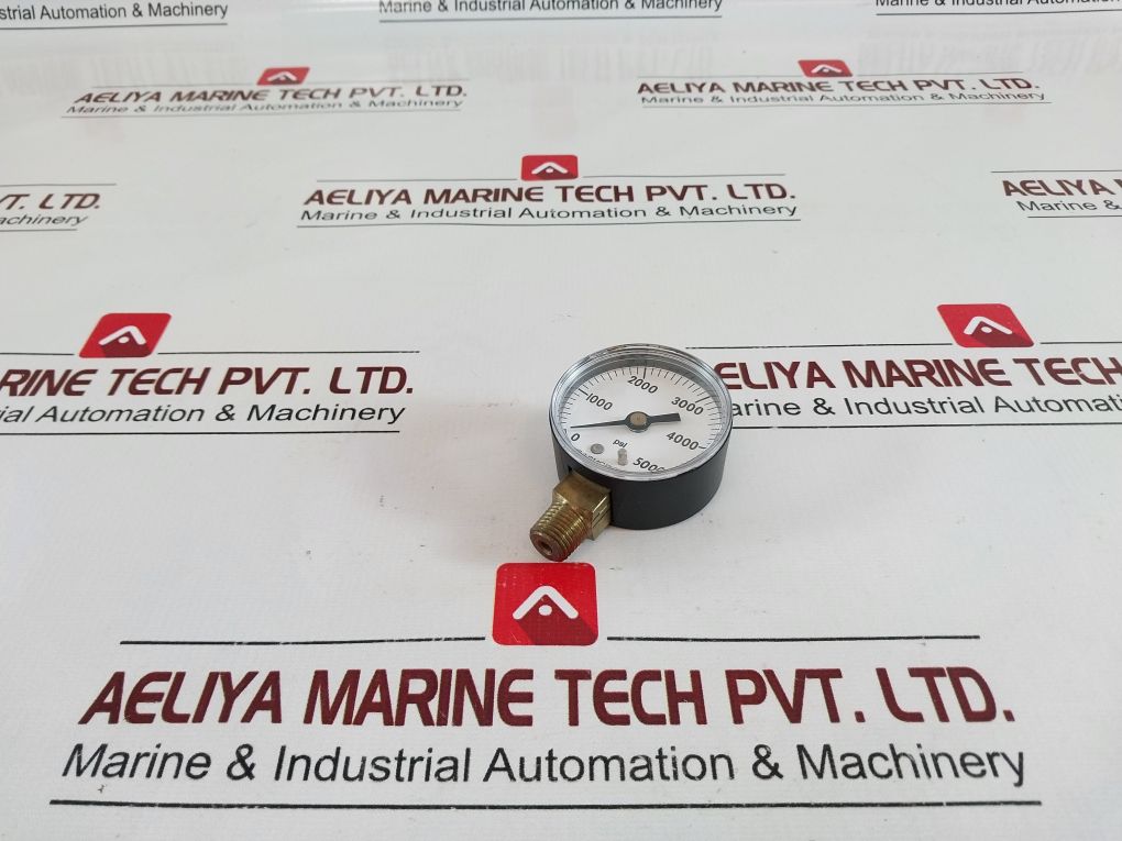 Ashcroft 20W1005Ph 02L