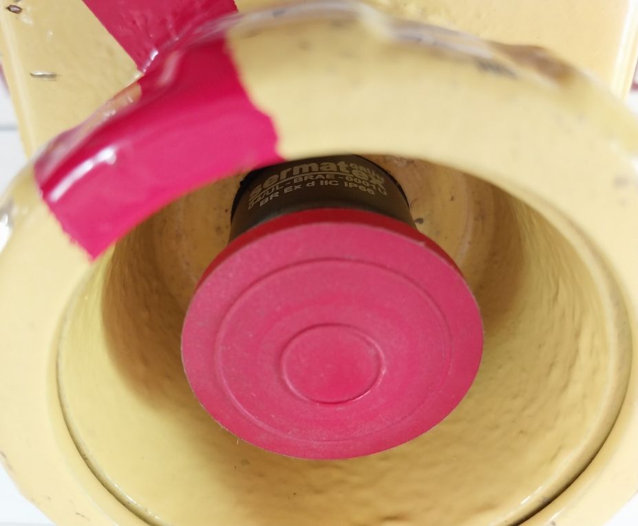 Awr 14P/12H1-h2 Emergency Pushbutton Station & Breaking Glass Hammer Br-exd Iib T6