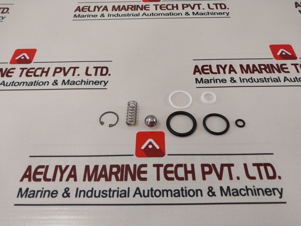 Axon 841980 Valve Repair Kit 22724