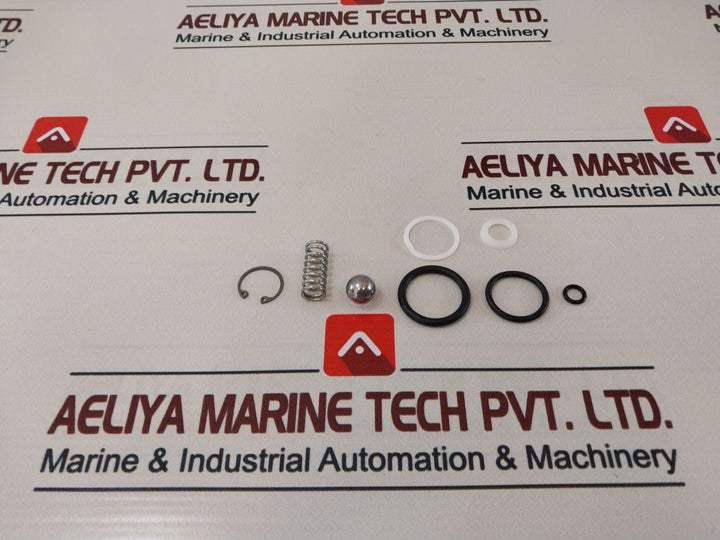 Axon 841980 Valve Repair Kit 22724