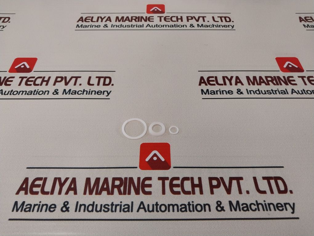 Axon 841980 Valve Repair Kit 22724