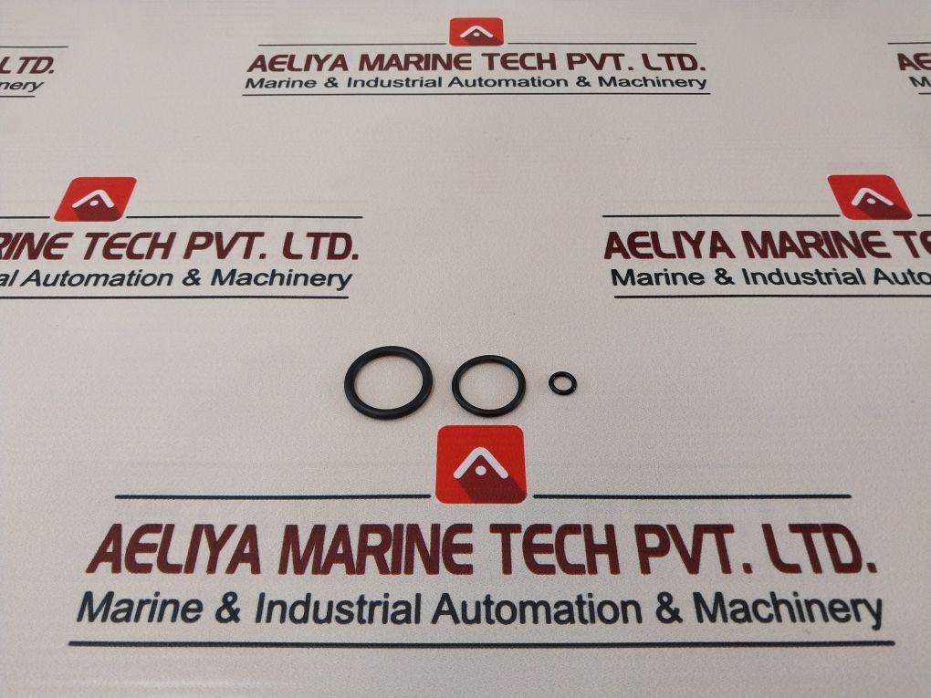 Axon 841980 Valve Repair Kit 22724