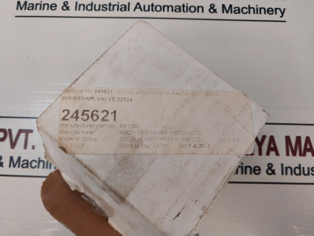 Axon 841980 Valve Repair Kit 22724