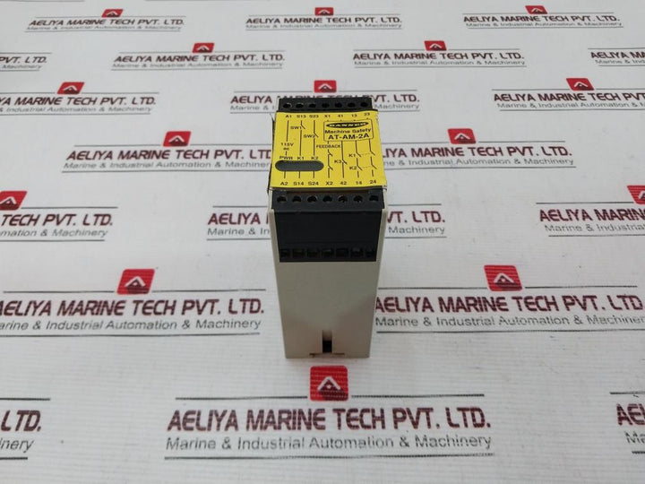 Banner Engineering At-am-2A Machine Safety Relay 115Vac