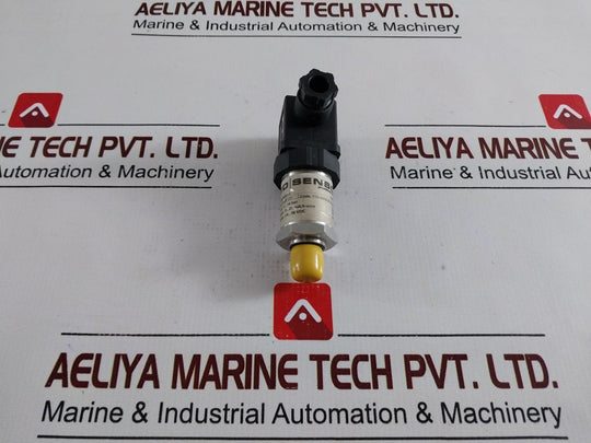 Bd-sensors Dmp 331 Pressure Transmitter
