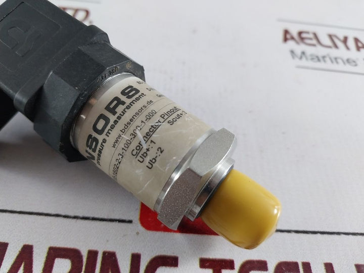 Bd-sensors Dmp 331 Pressure Transmitter
