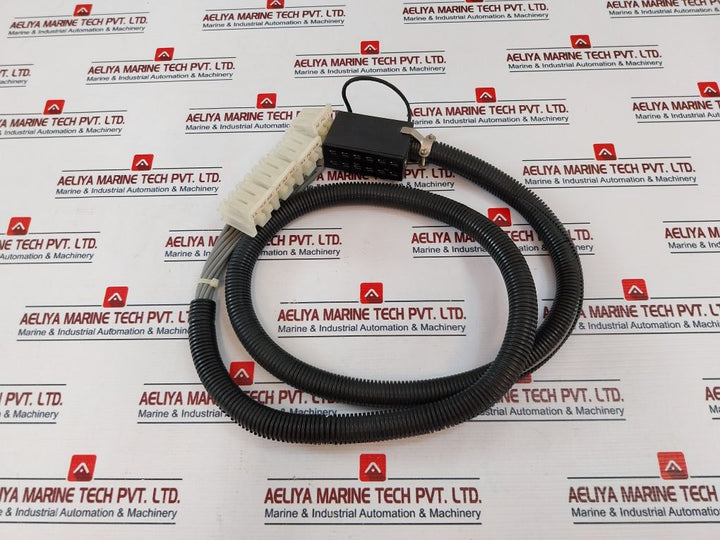 Beau 5412 Terminal Block Module With Cable