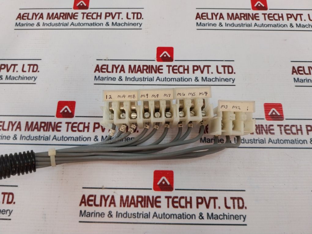 Beau 5412 Terminal Block Module With Cable