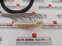 Beau 5412 Terminal Block Module With Cable