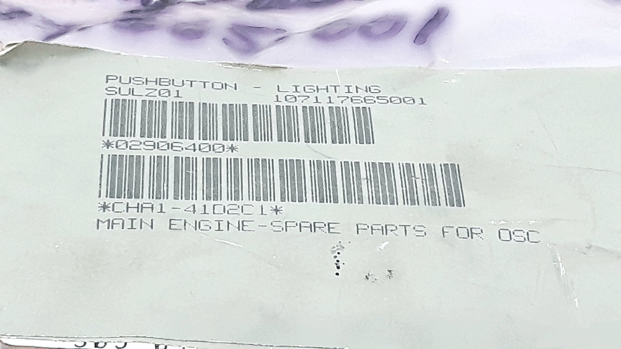 Eao 03-121-011 Illuminated Lighting Push Button Switch 300Vac Ch 4600 Olten