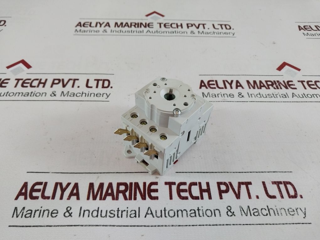 Benedikt & Jager 487 2217-30T Main Switch