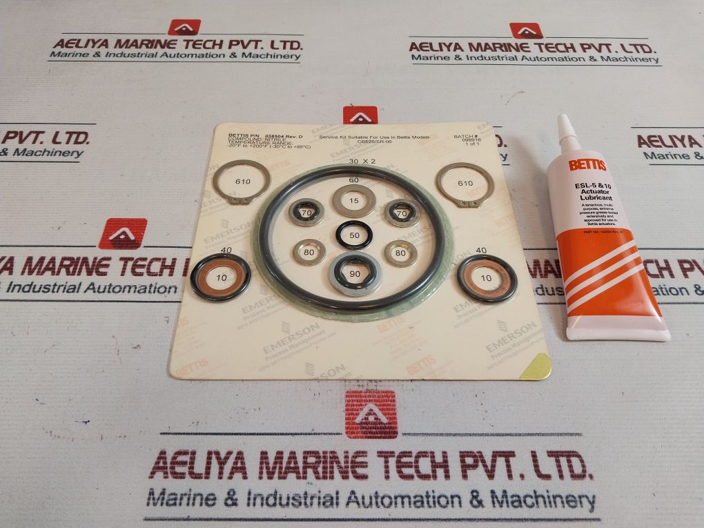 Bettis 038504 Service Kit