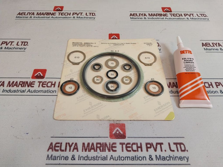 Bettis 038504 Service Kit