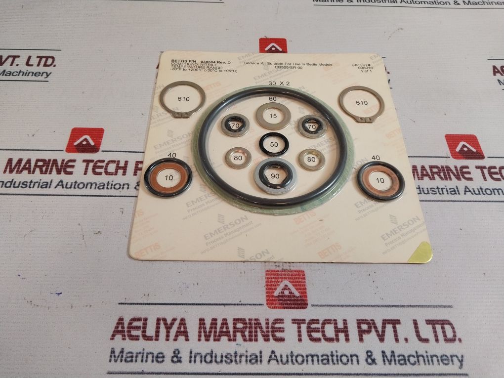 Bettis 038504 Service Kit