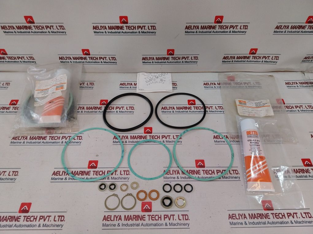 Bettis Cb725/Sr-11 Actuator Seal Kit