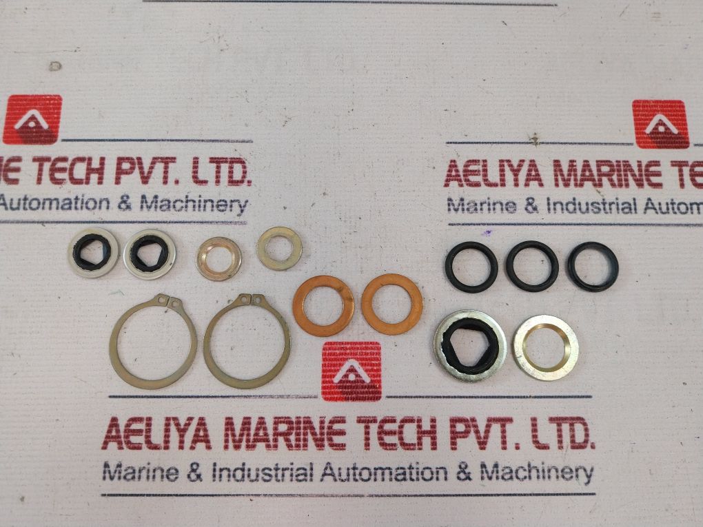 Bettis Cb725/Sr-11 Actuator Seal Kit