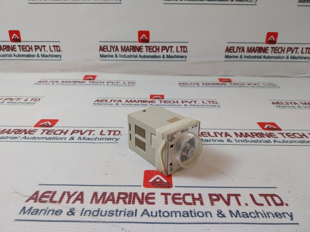Bigm Tm-48S Time Delay Relay