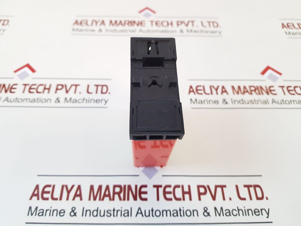 Bircher Tzmp Time Delay Relay 24V Ac/Dc