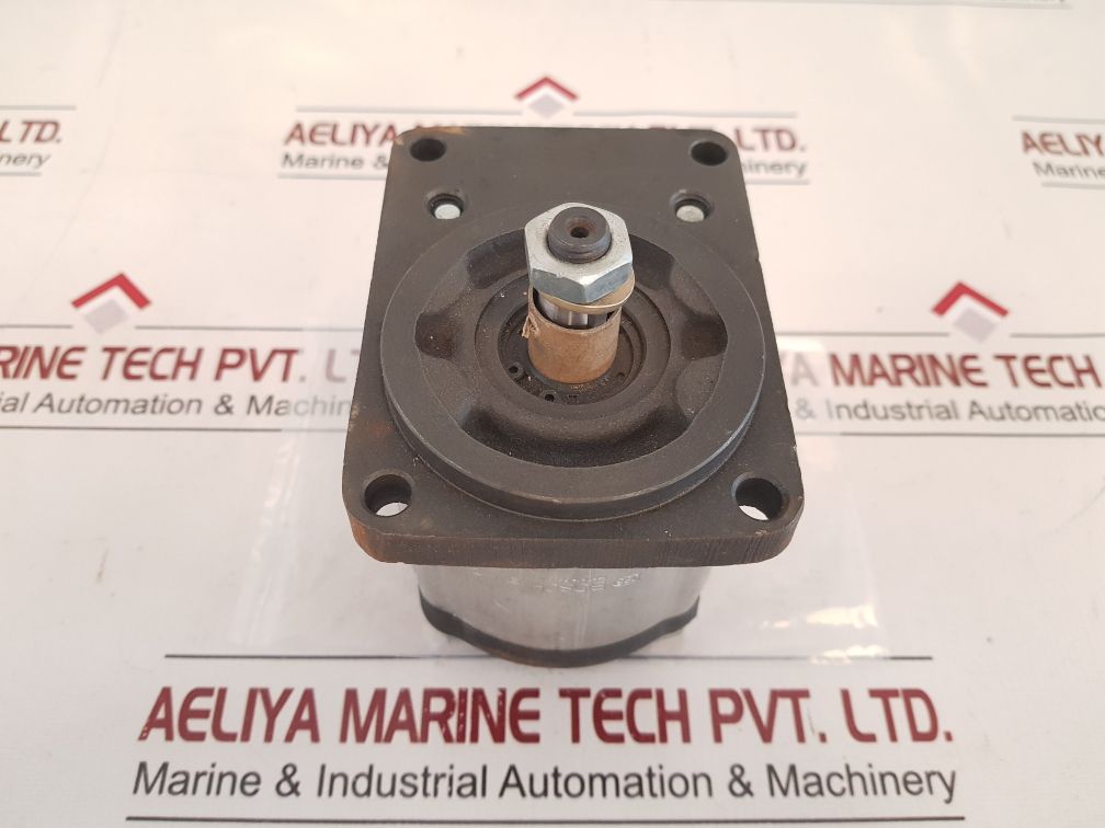 Bosch 0510 625 013 Hydraulic Gear Pump
