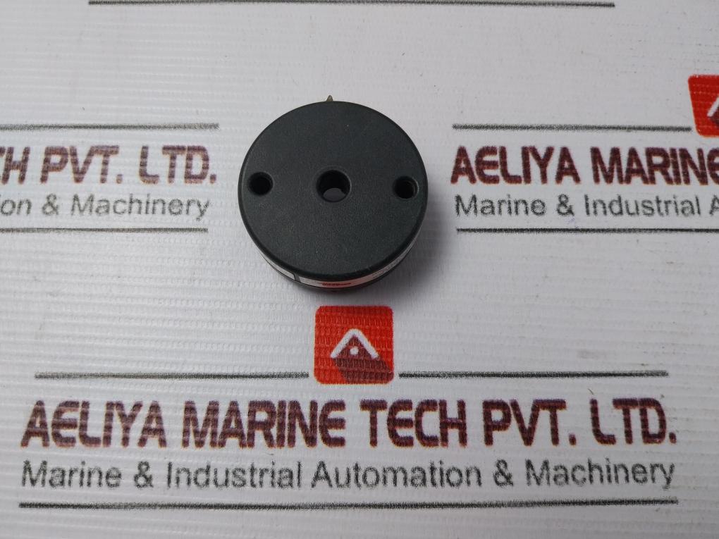 Bourdon Haenni Flex Top 2201 0002 Temperature Transmitter