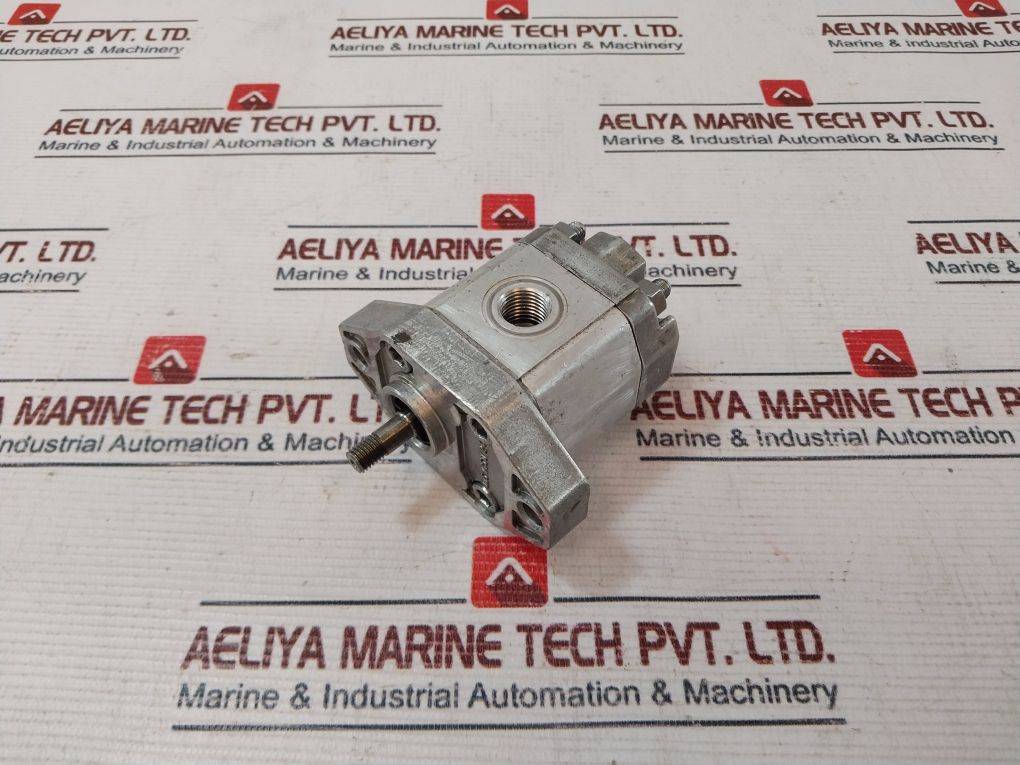 Bucher Hydraulics 005 1459 24 Gear Pump