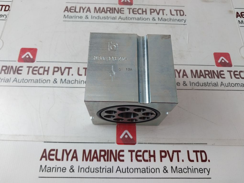 Bucher Rvsae3Ds-212-05-01 Block/Check Valve 170627742