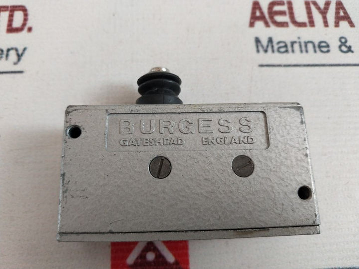 Burgess M3Brm Micro Switch 250 Vac
