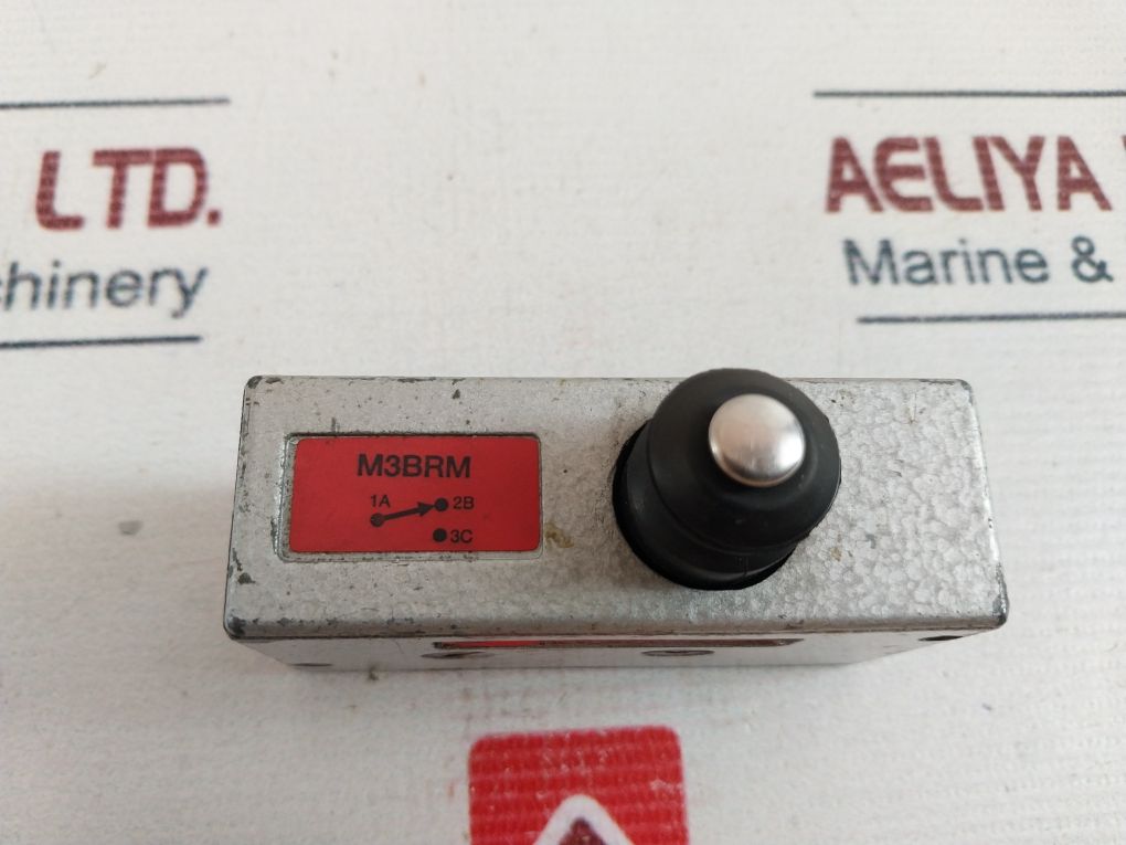 Burgess M3Brm Micro Switch 250 Vac