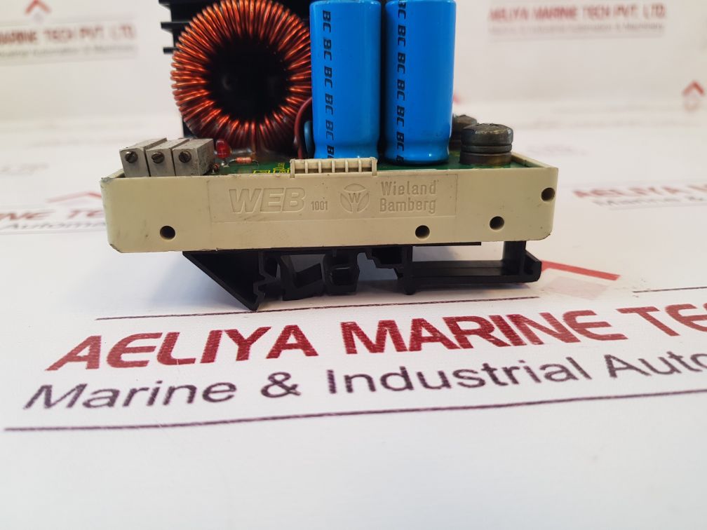 Burghold Bw2443A62 Pcb Card 5910C