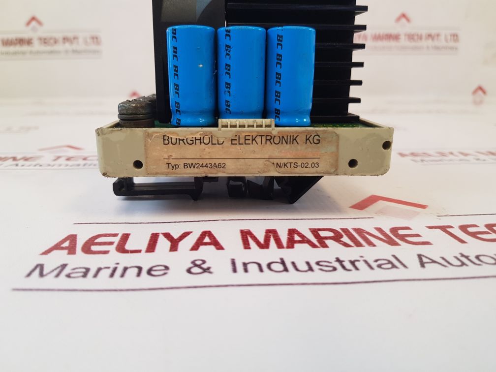 Burghold Bw2443A62 Pcb Card 5910C
