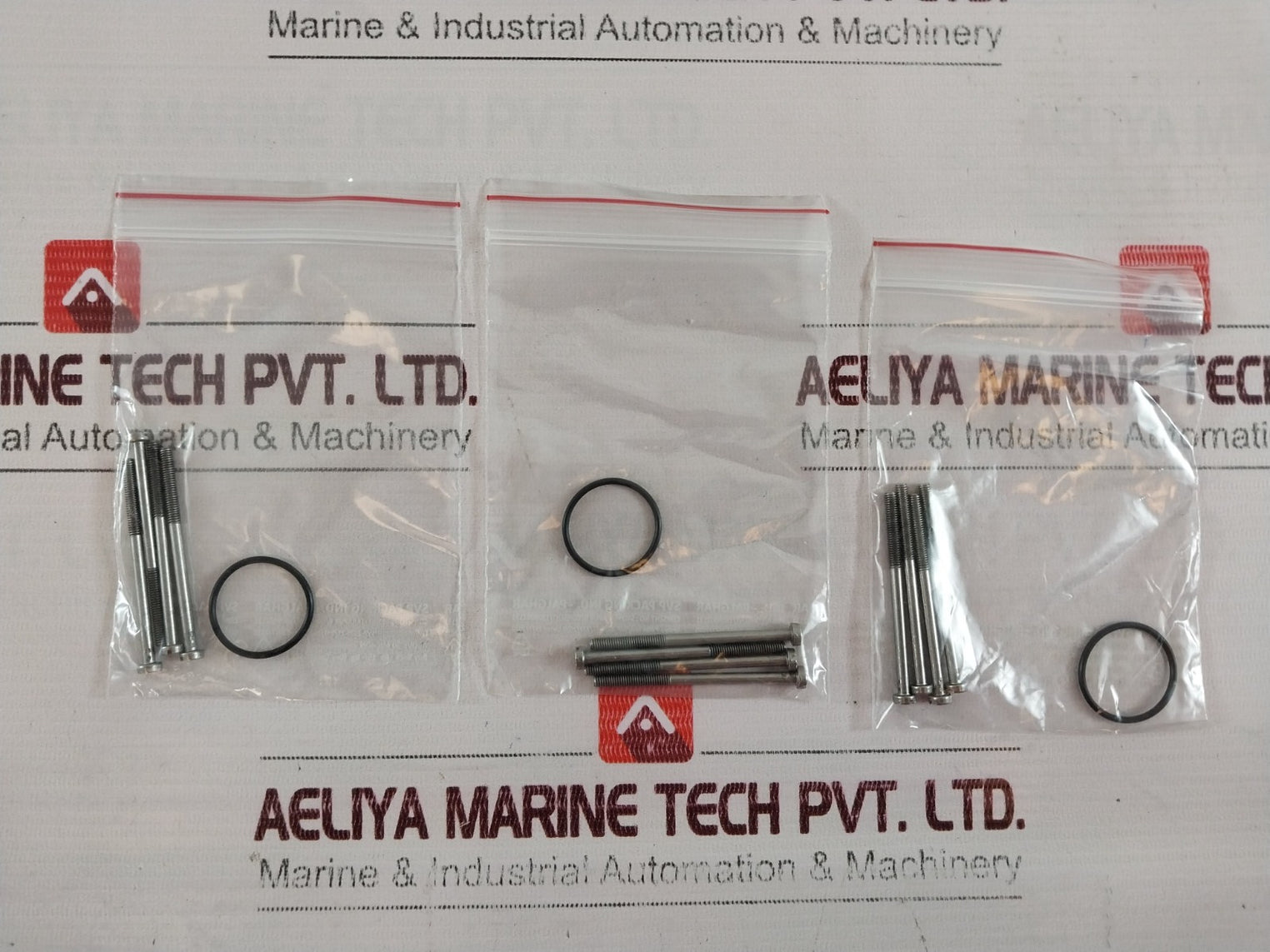 Burkert 0243-3174-202-00 24V 60Hz