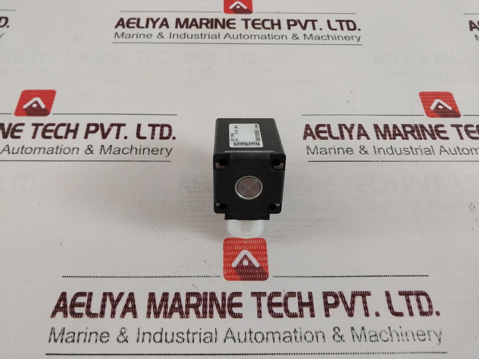 Burkert 0243-3174-202-00 24V 60Hz