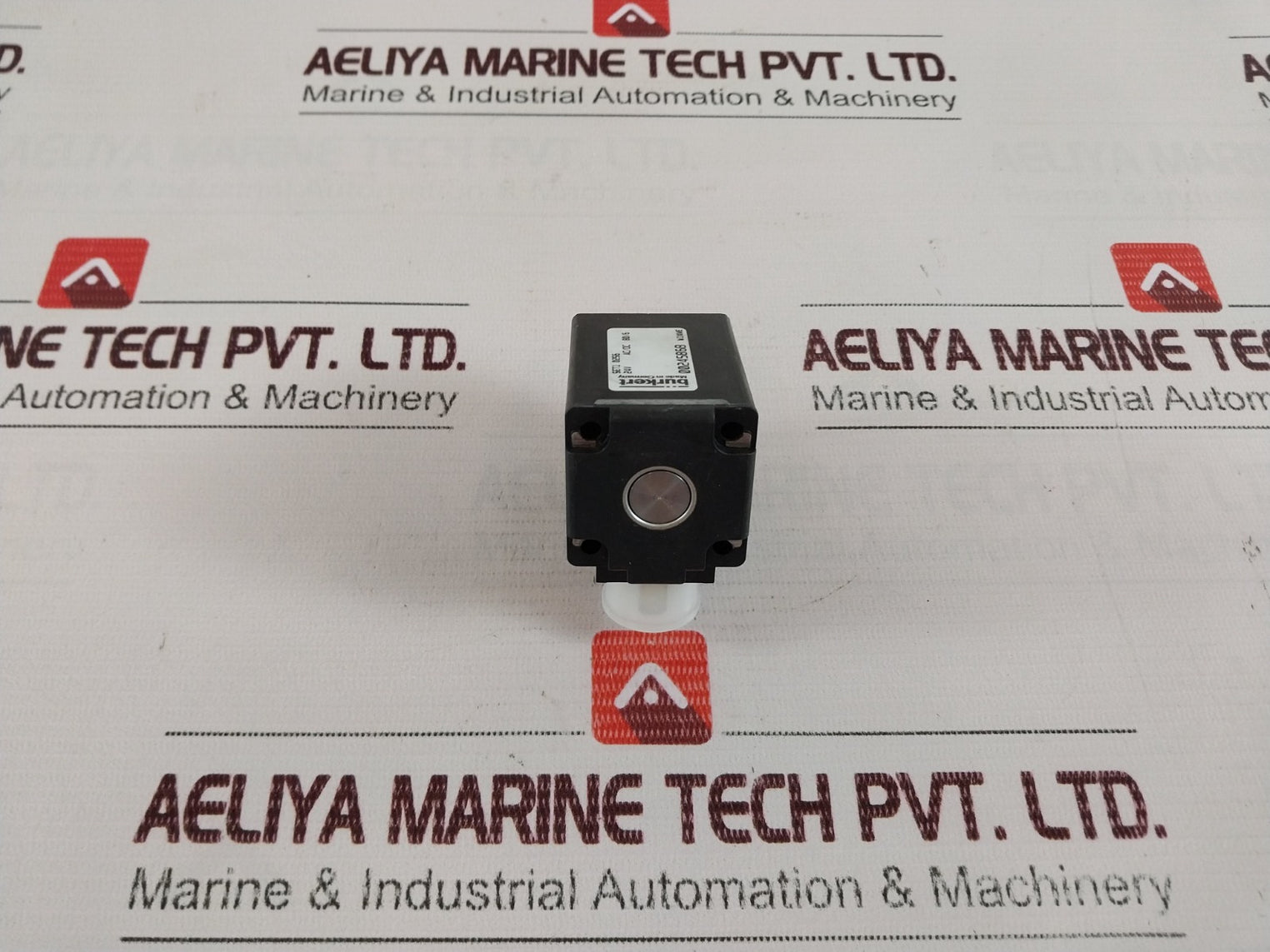 Burkert 0243-3174-202-00 24V 60Hz