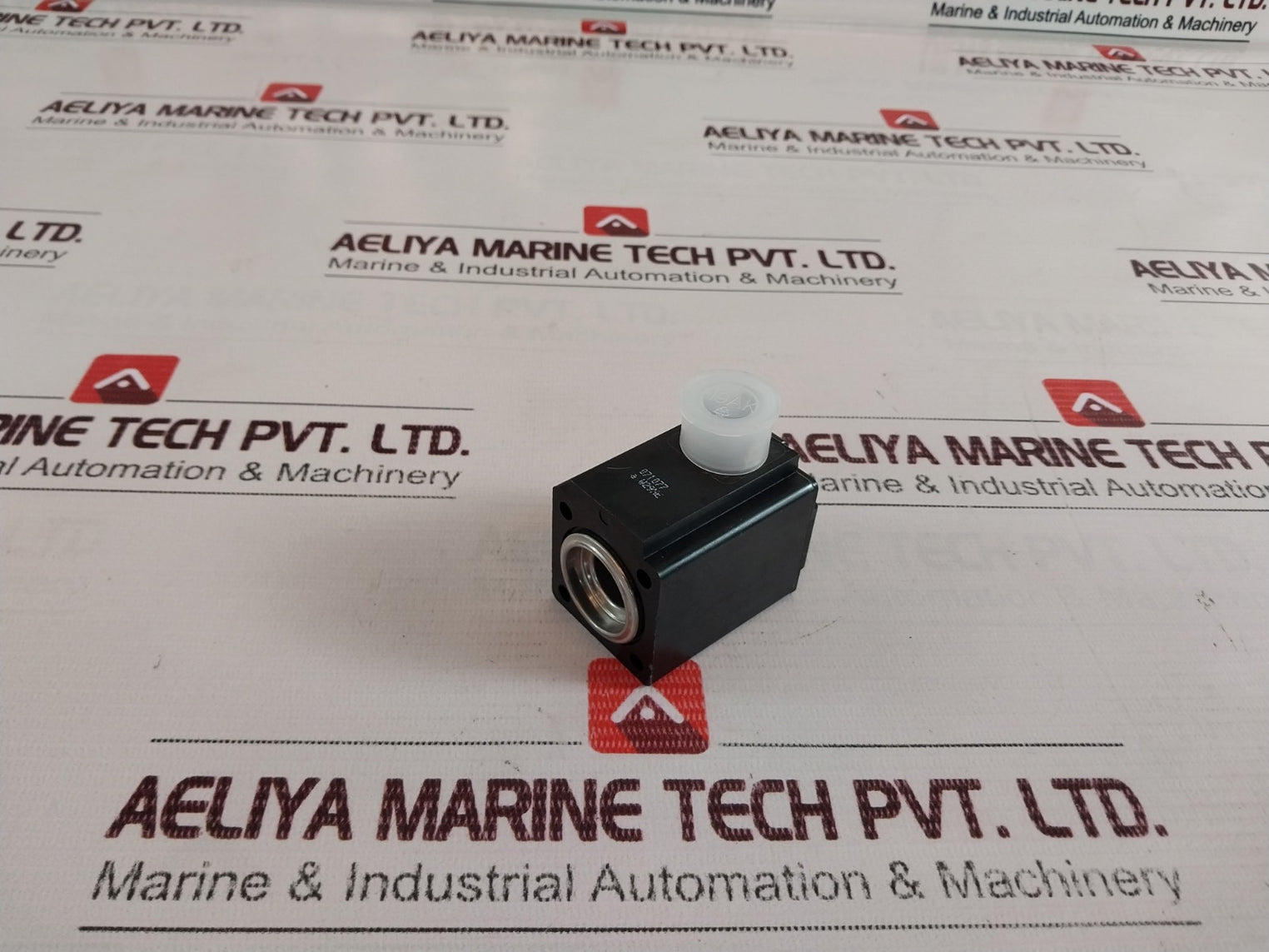 Burkert 0243-3174-202-00 24V 60Hz