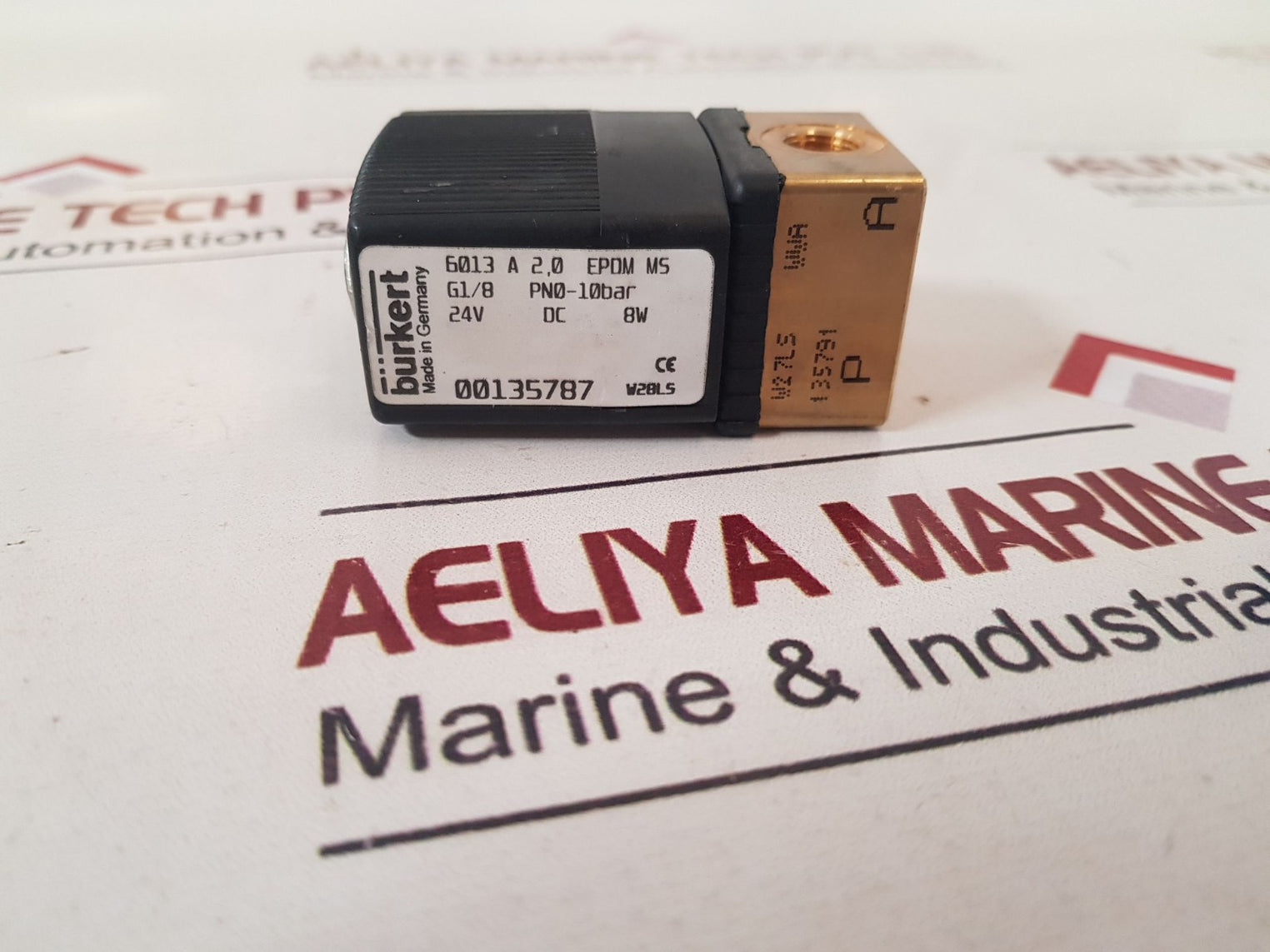 Burkert 6013 A 2,0 Epdm Ms Solenoid Valve