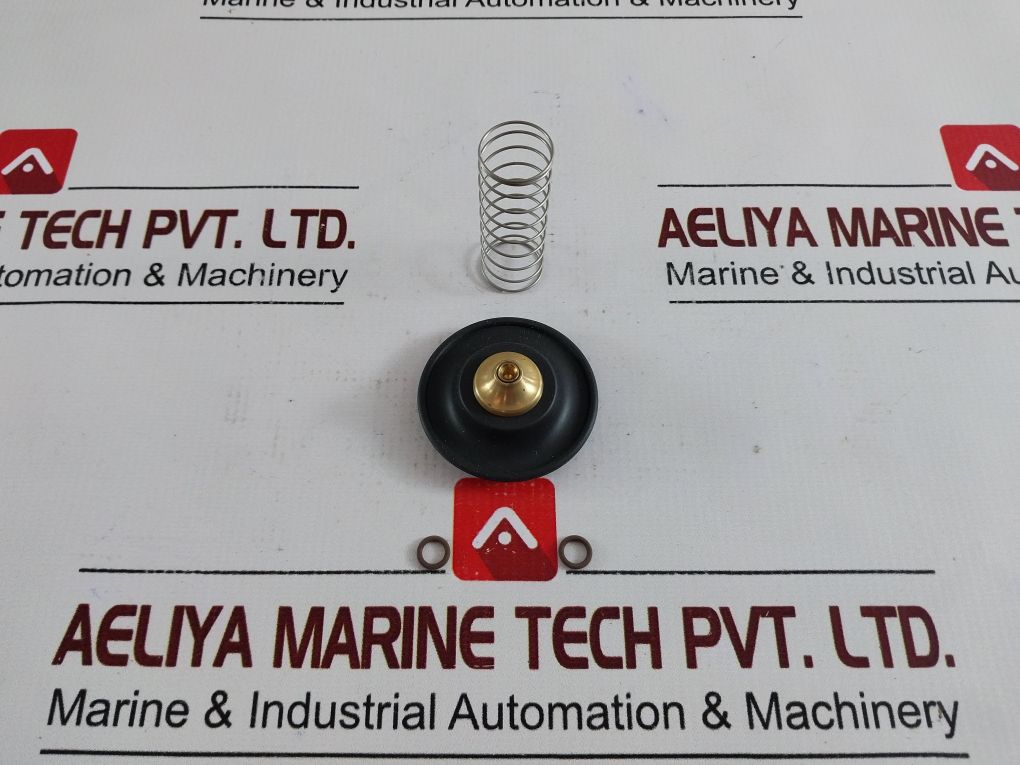 Burkert 96V604 3/4” Repair Kit Burk